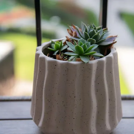 Waterfront Metropolitan 2 * Bělehrad